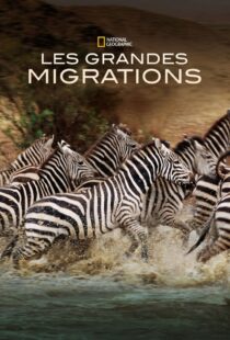 دانلود مستند Great Migrations417146-1360127960
