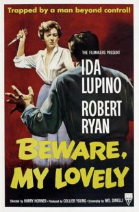 دانلود فیلم Beware, My Lovely 1952420627-1298709778