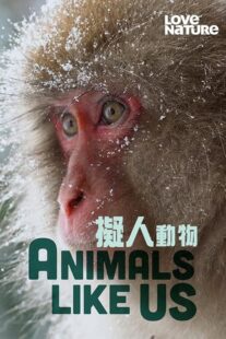 دانلود مستند Animals Like Us423066-1761259883