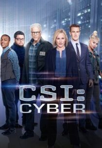 دانلود سریال CSI: Cyber428329-1351167076