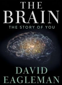 دانلود سریال The Brain with Dr. David Eagleman428613-827826150